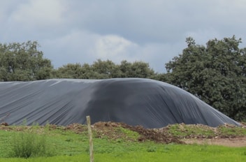 Clamp Silage